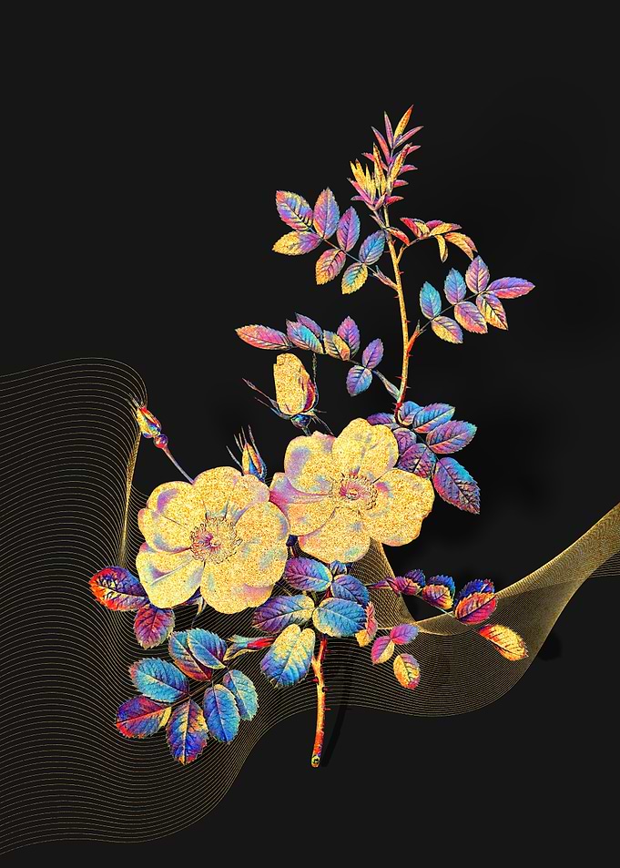 Prismatic Sweetbriar Roses