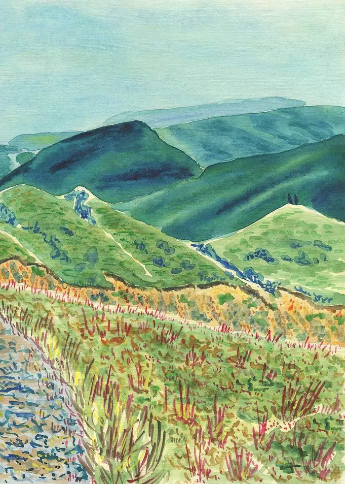 Mountain Pastures