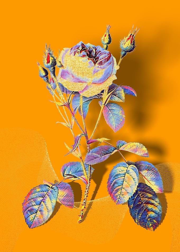 Prismatic Rose Bush