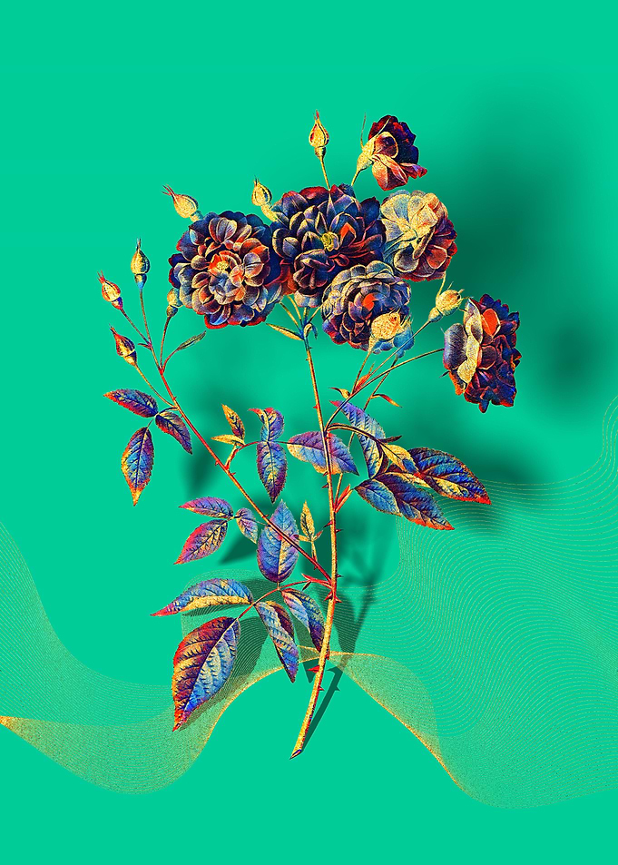 Prismatic Ternaux Rose