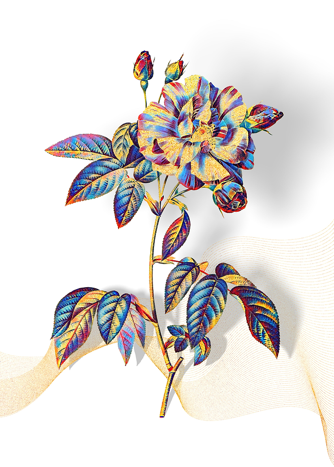 Prismatic Rosa Versicolor