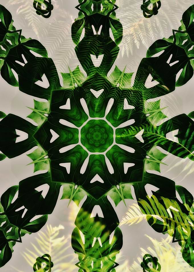 Nature Abstract Pattern