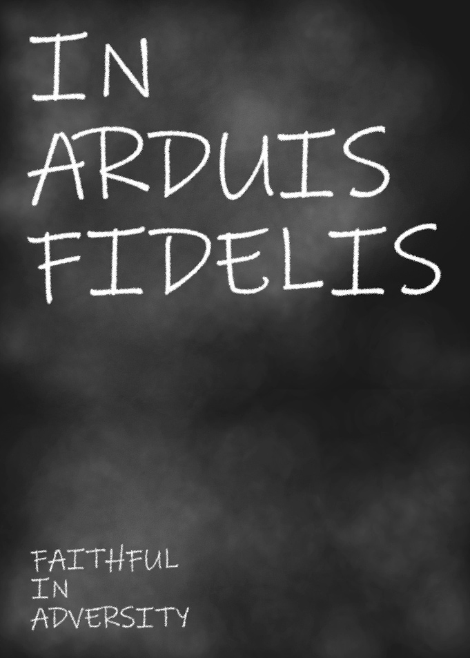Faithful In Adversity