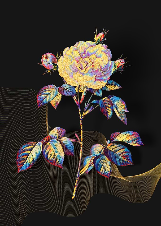 Prismatic Rose Alba