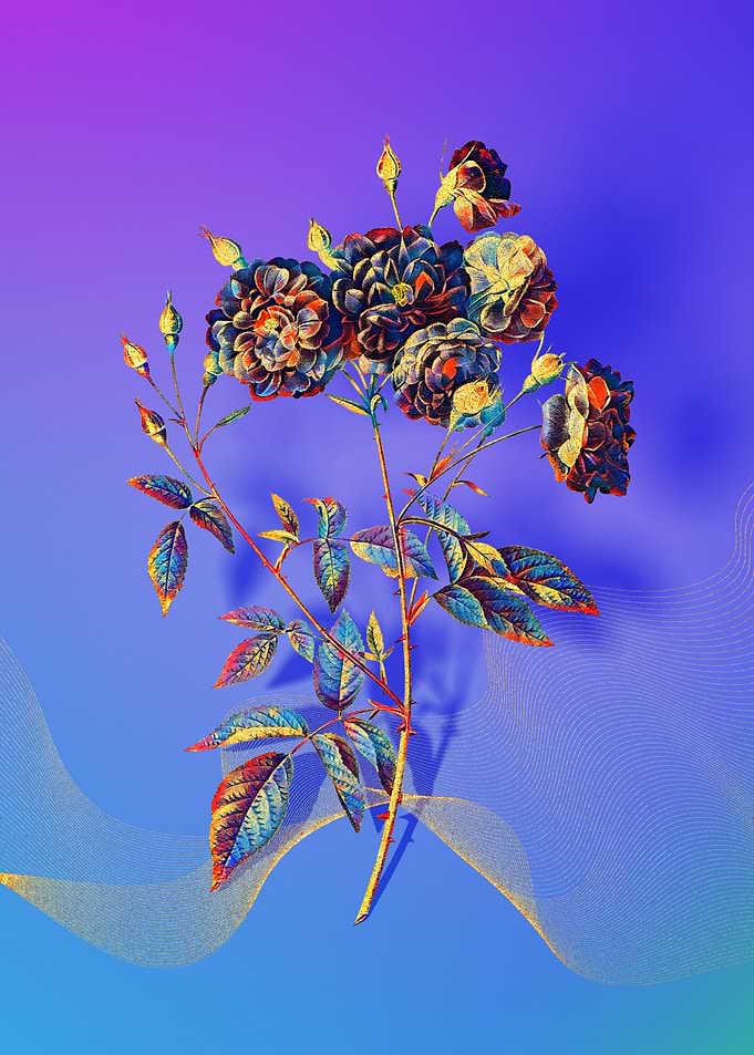 Prismatic Ternaux Rose