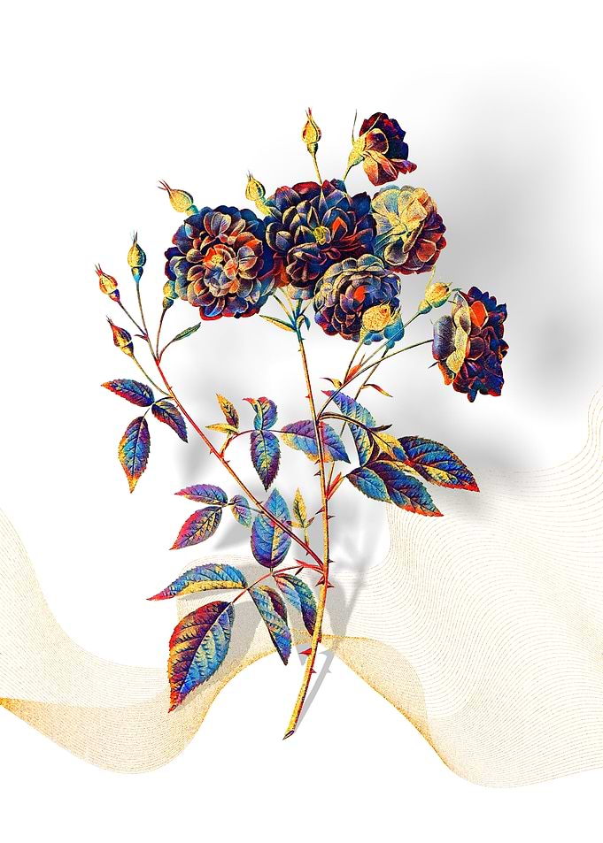 Prismatic Ternaux Rose