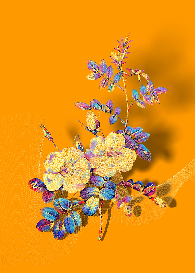 Prismatic Sweetbriar Roses