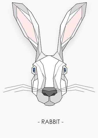 RABBIT