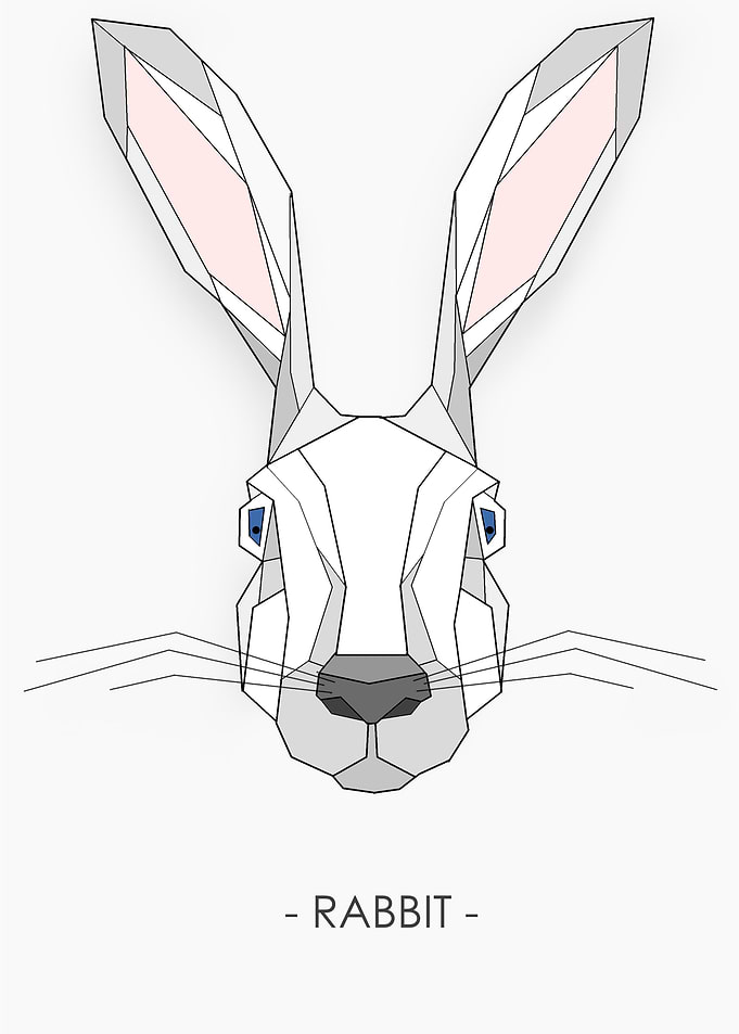 RABBIT