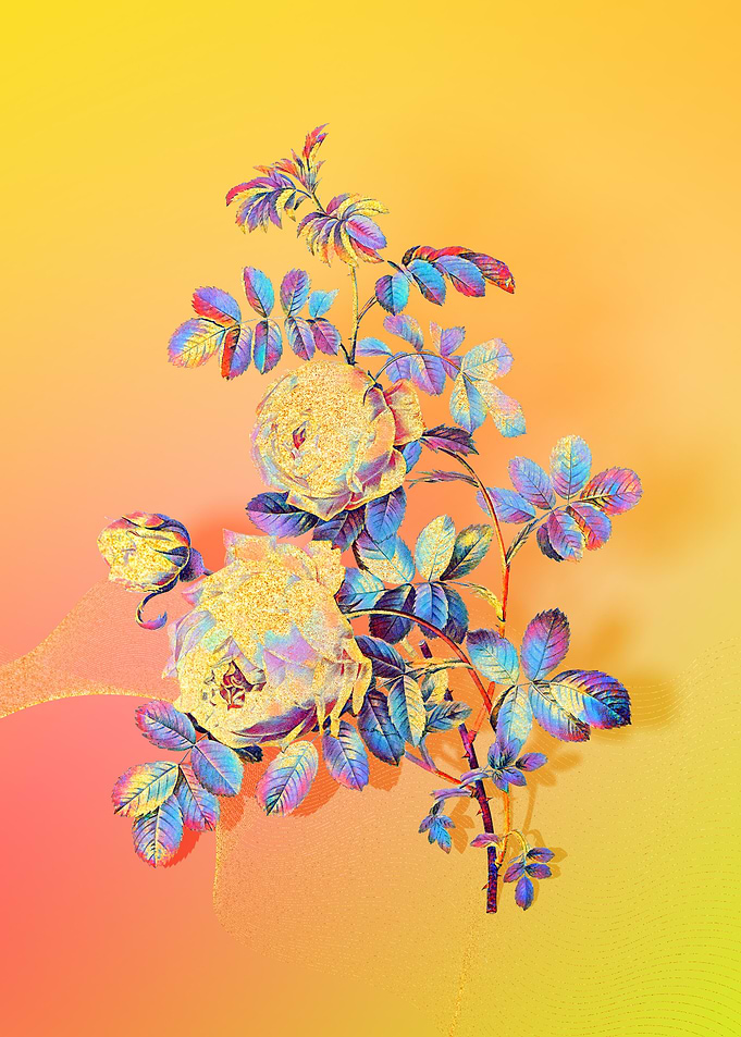 Prismatic Sulphur Rose