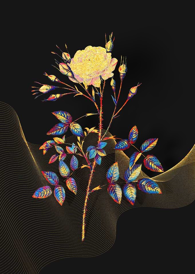 Prismatic Rose Rosenberg