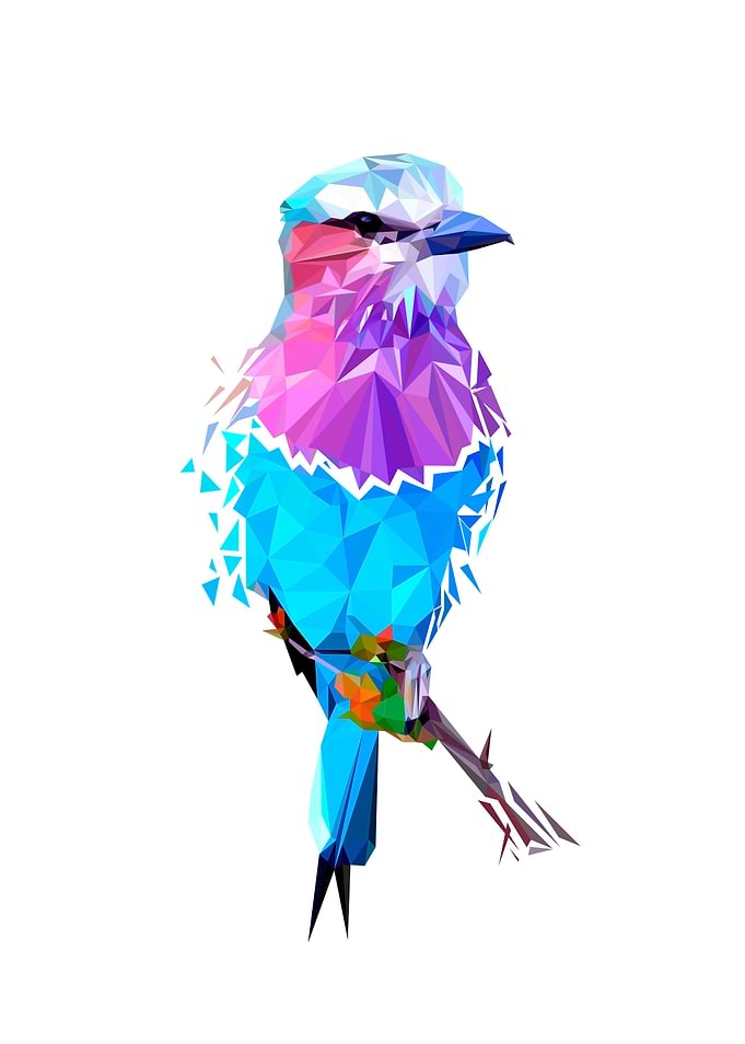 Bird Geometric
