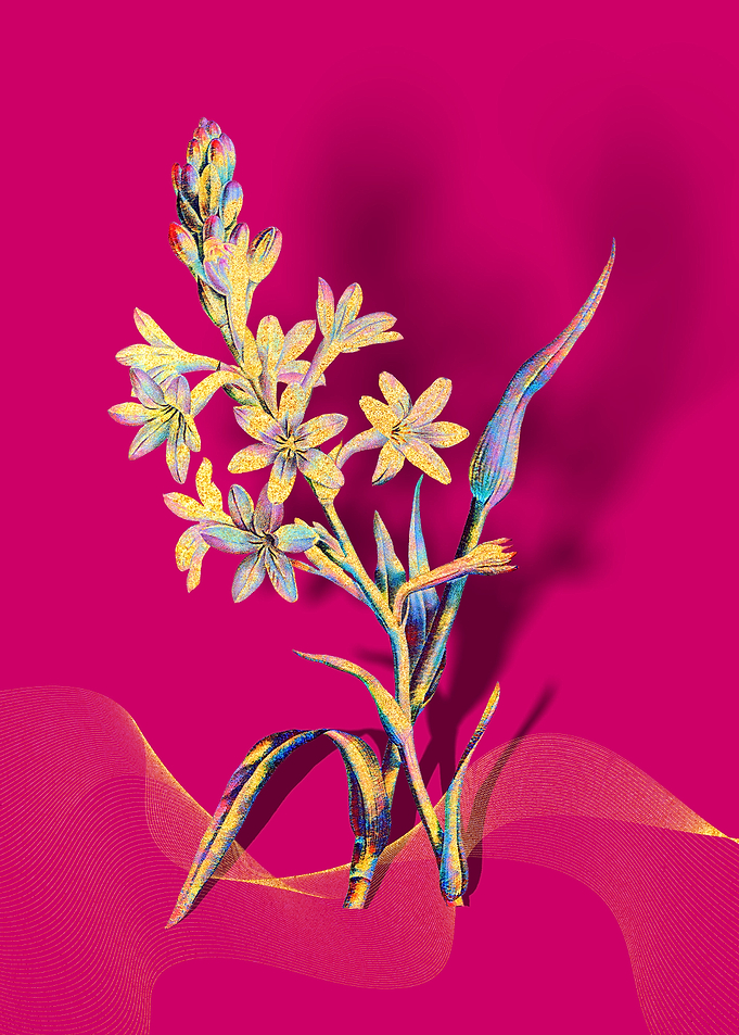 Prismatic Tuberose Flowers