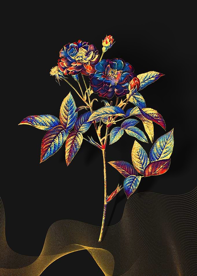 Prismatic Van Eeden Rose