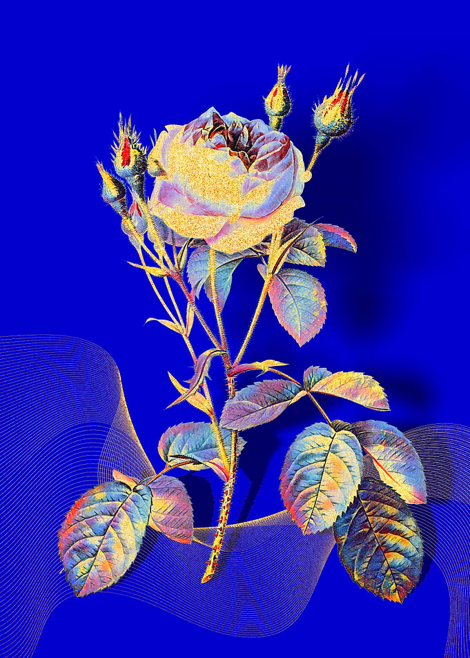 Prismatic Rose Bush