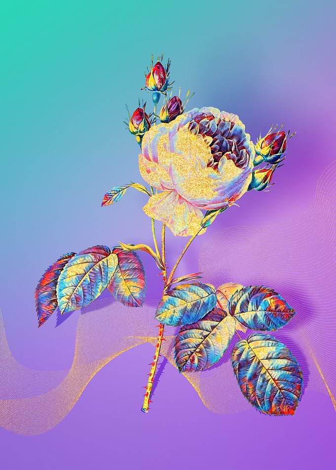 Prismatic Provence Rose