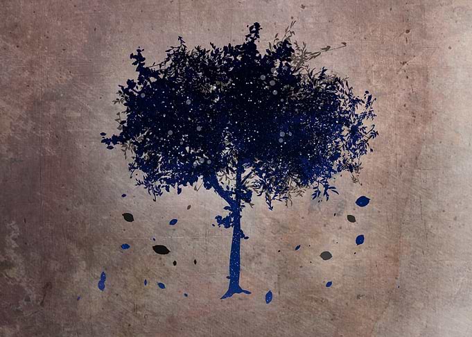 Tree Night