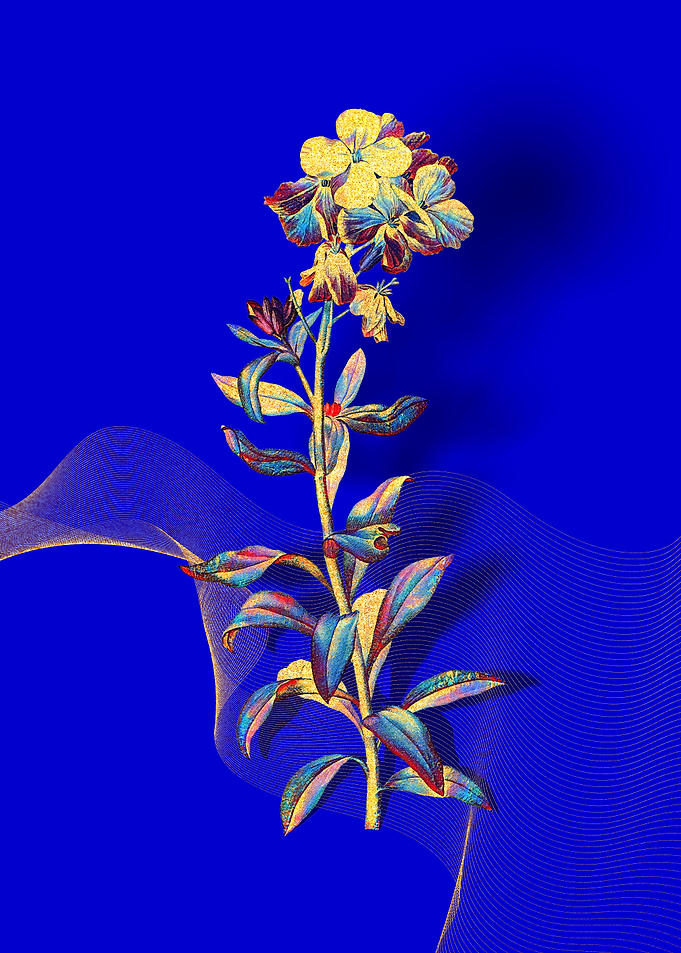 Prismatic Yellow Wallflowe