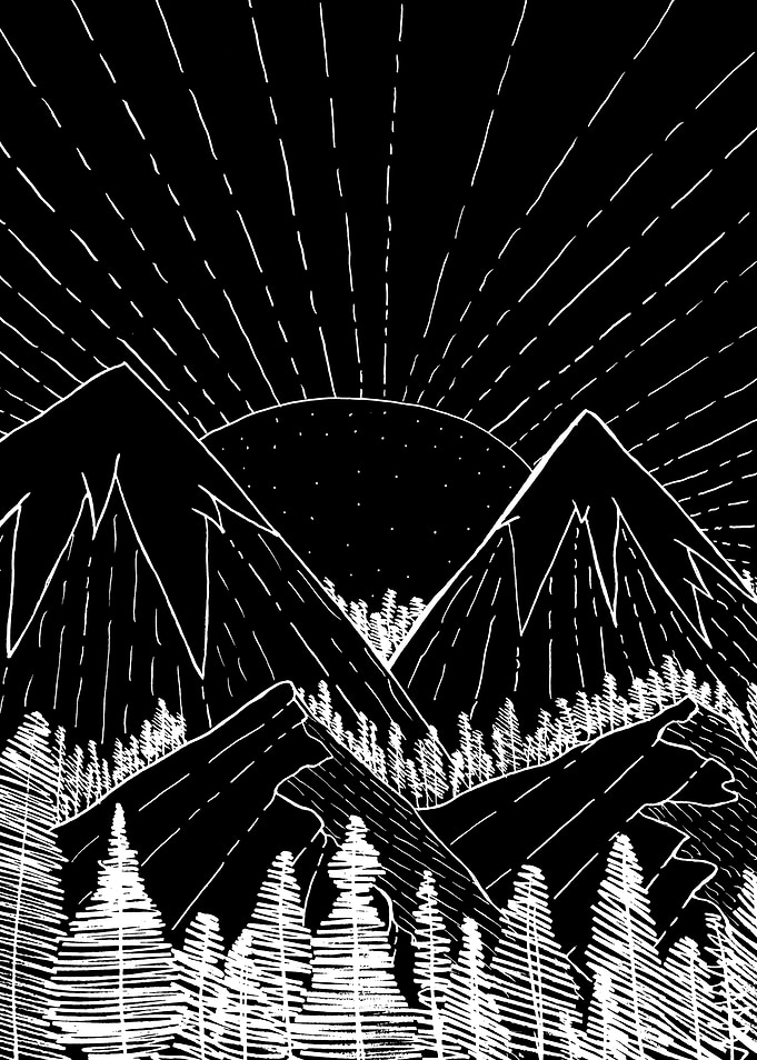 White forest mountains
