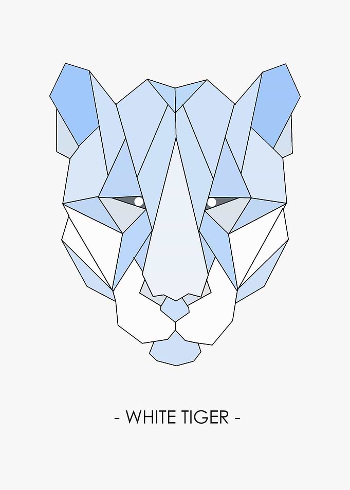 WHITE TIGER