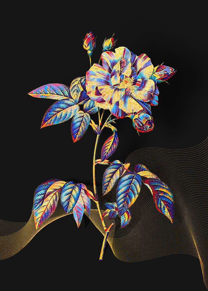 Prismatic Rosa Versicolor