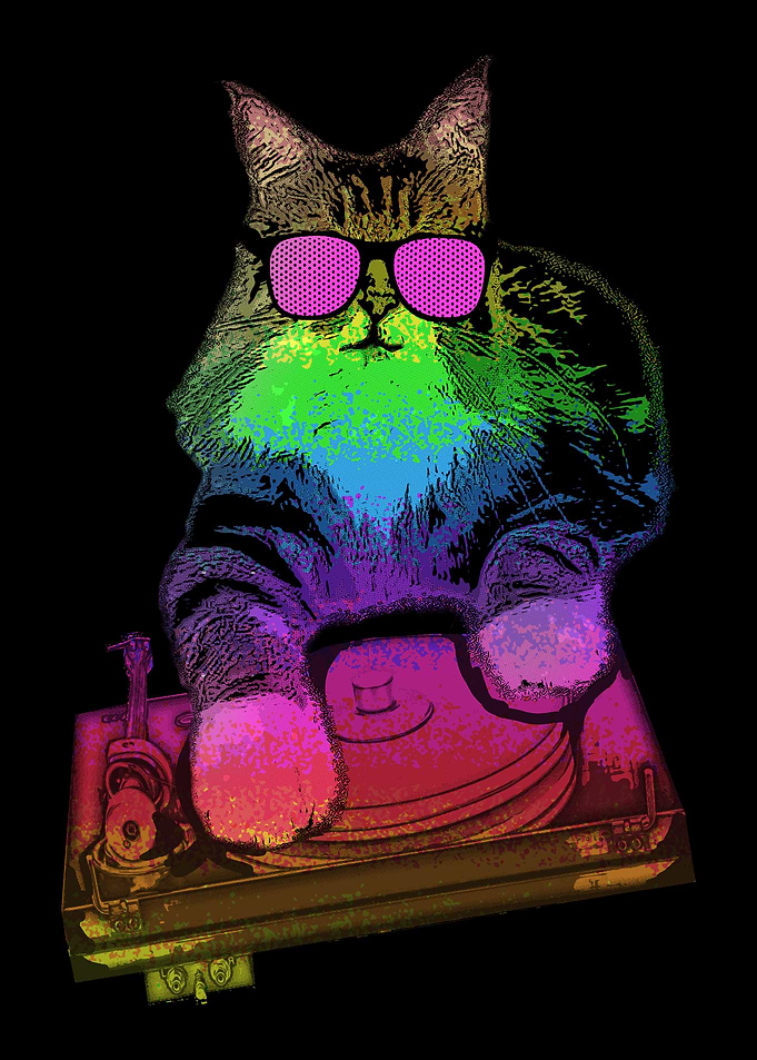 Cool Maine Coon Cat