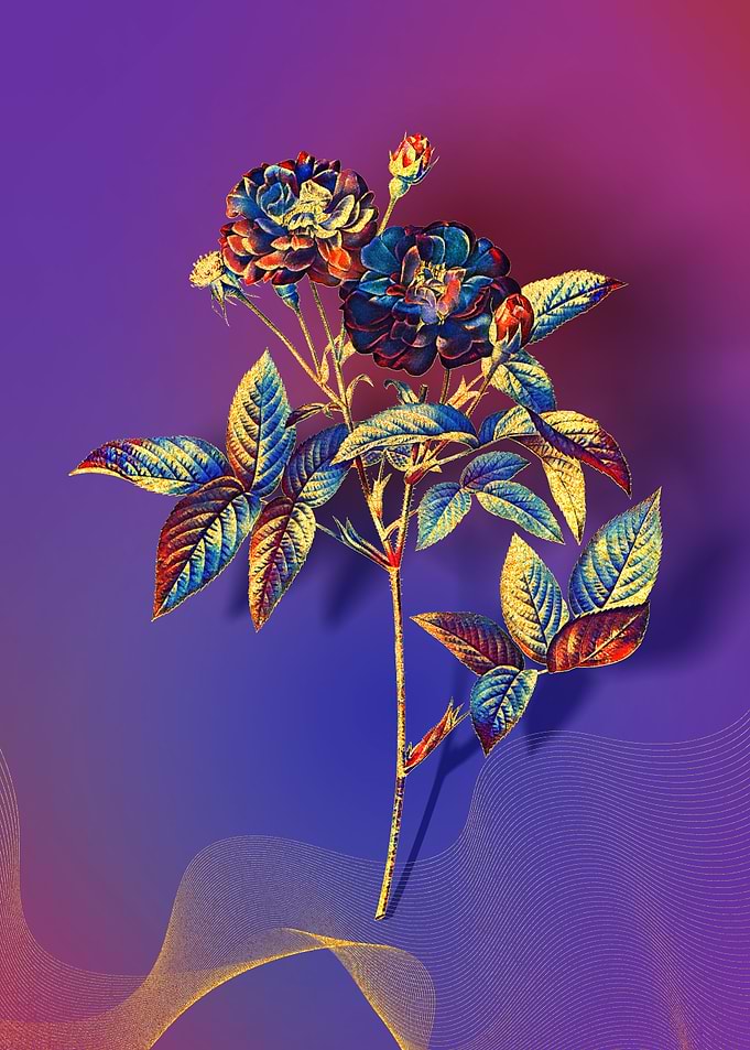 Prismatic Van Eeden Rose