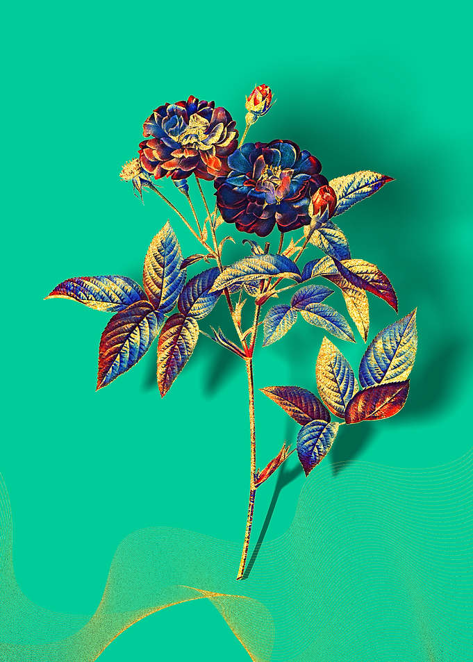 Prismatic Van Eeden Rose