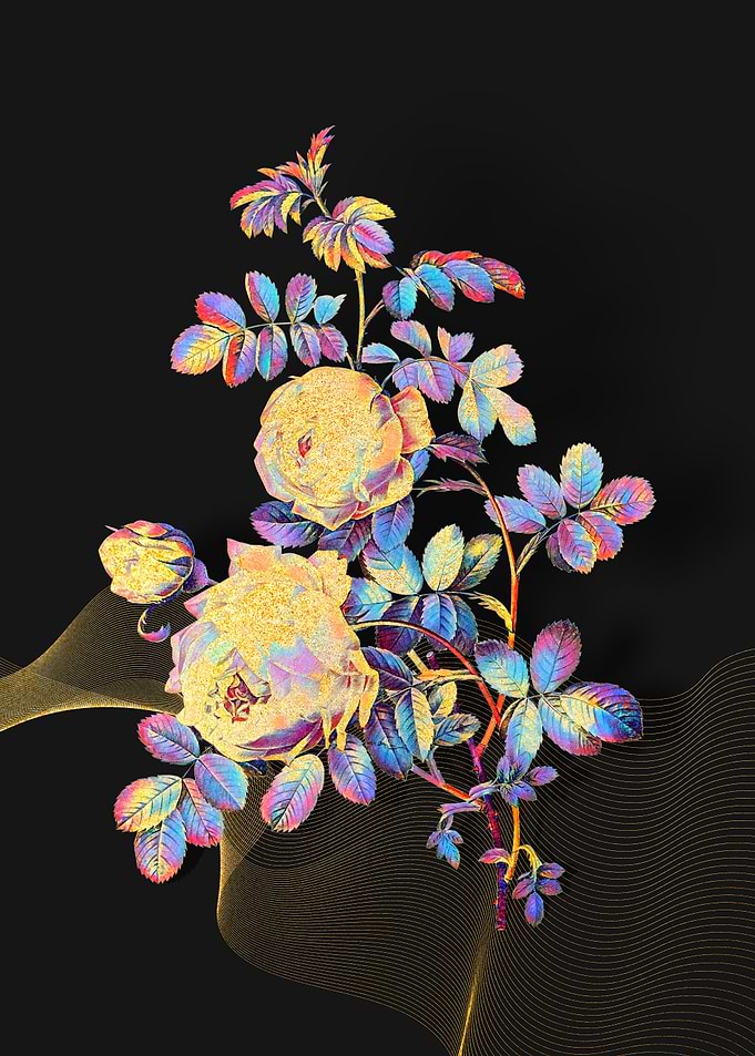 Prismatic Sulphur Rose