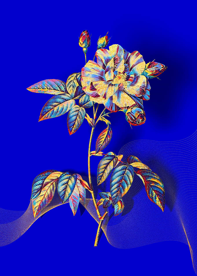 Prismatic Rosa Versicolor