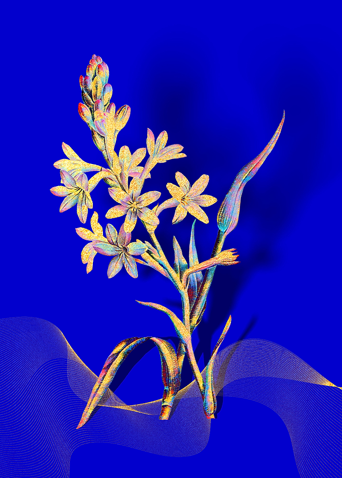 Prismatic Tuberose Flowers
