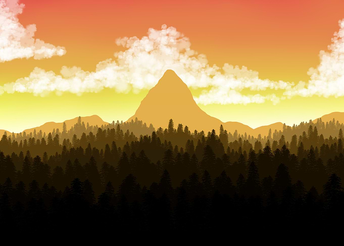 Woods