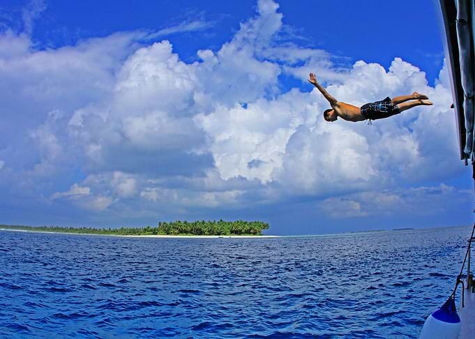 Paradise Diving