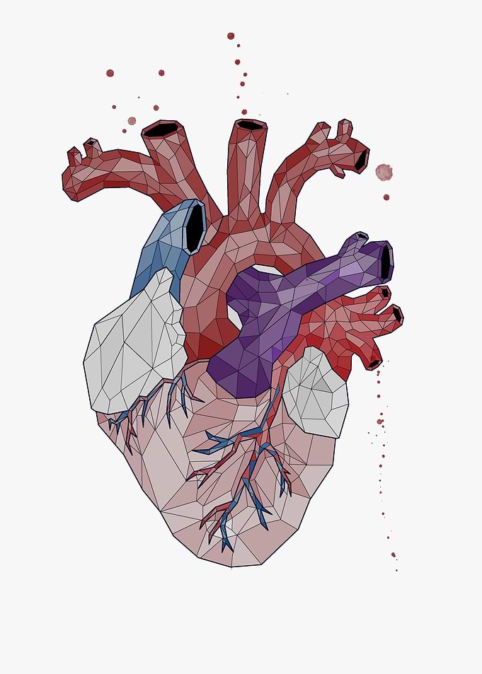 HEART
