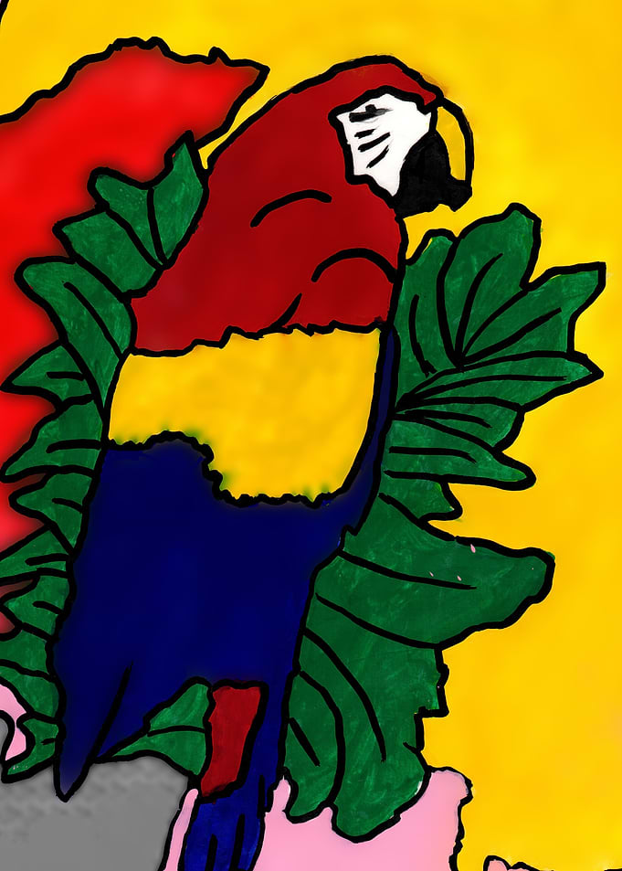 The Multicolored Parrot
