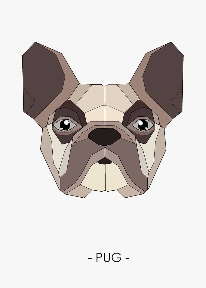PUG