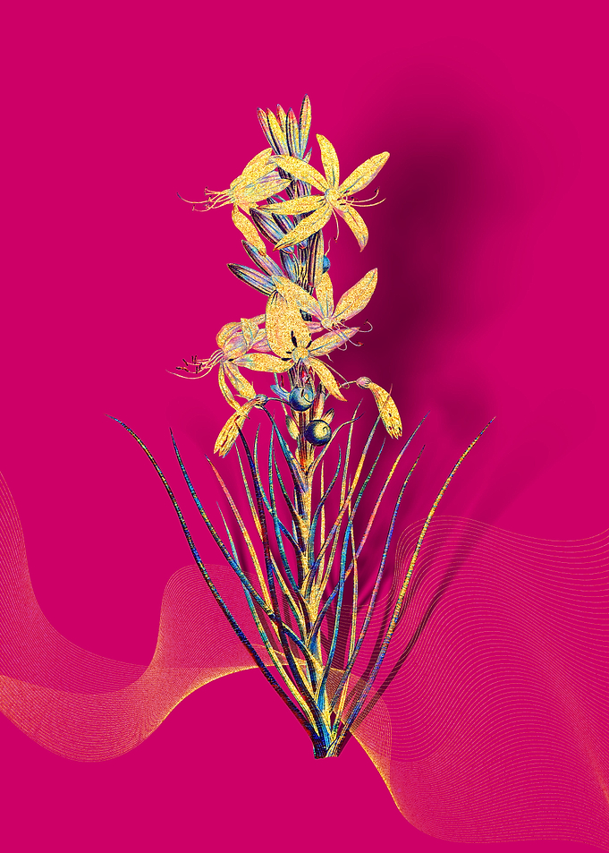 Prismatic Yellow Asphodel