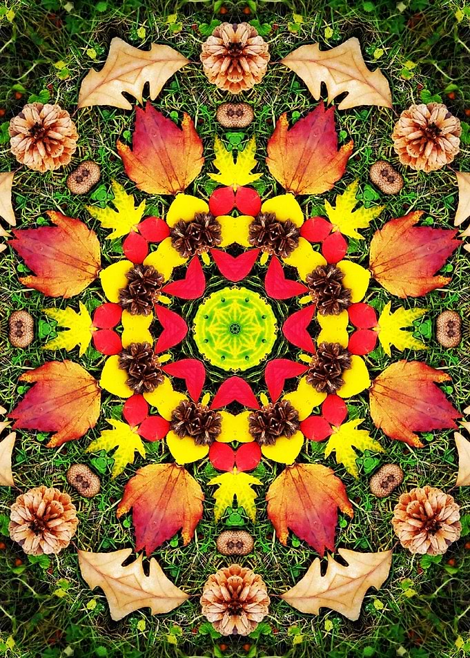 Nature Abstract Pattern