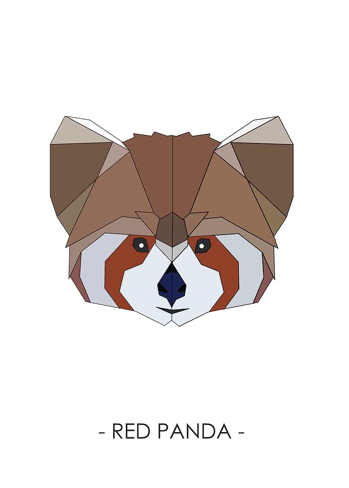 RED PANDA