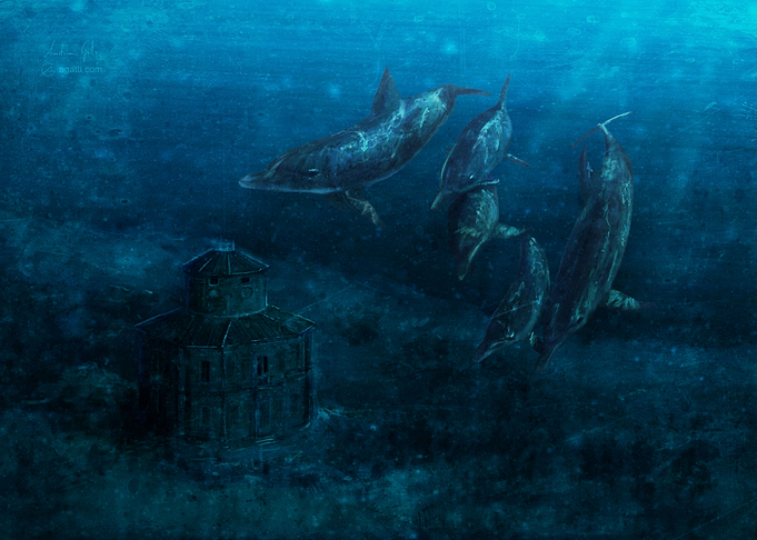 Zizzola underwater 2019