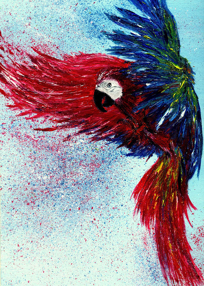 Colorful parrot