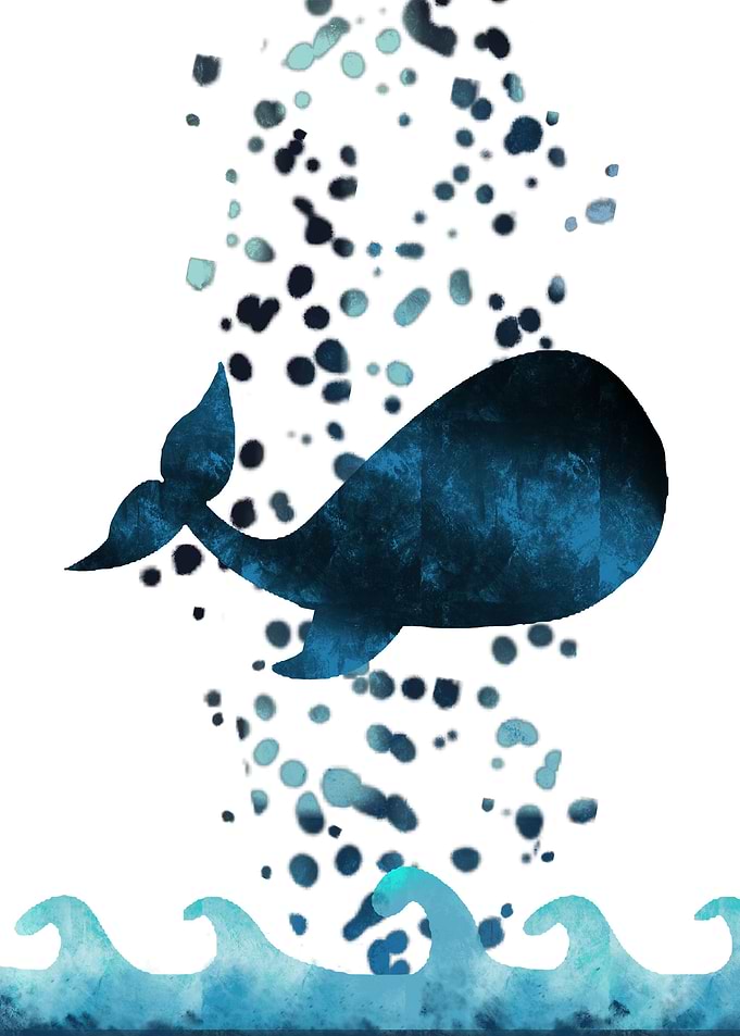 Little Whale