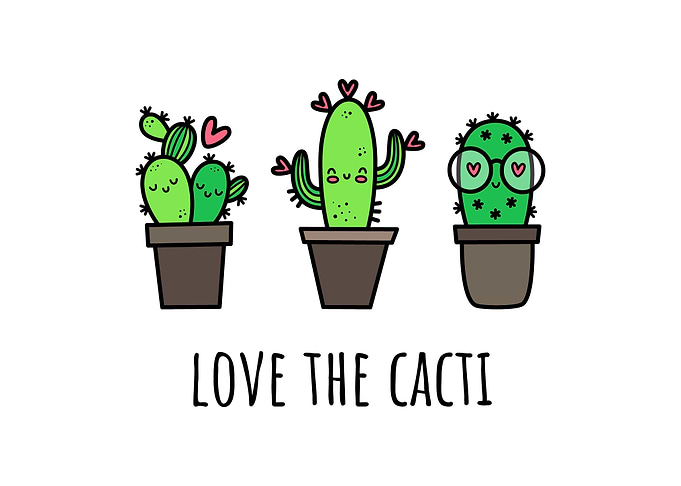 Love the cacti
