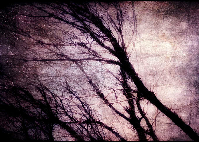Branches 1