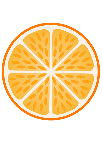 Orange slice with peel