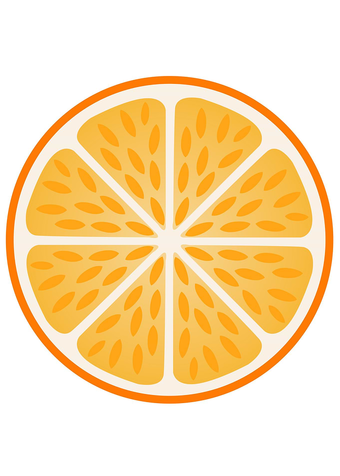 Orange slice with peel
