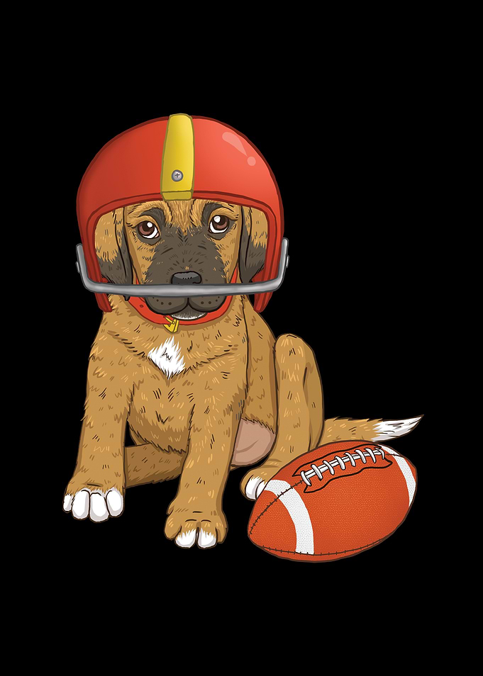 Puppy Football Amazing I