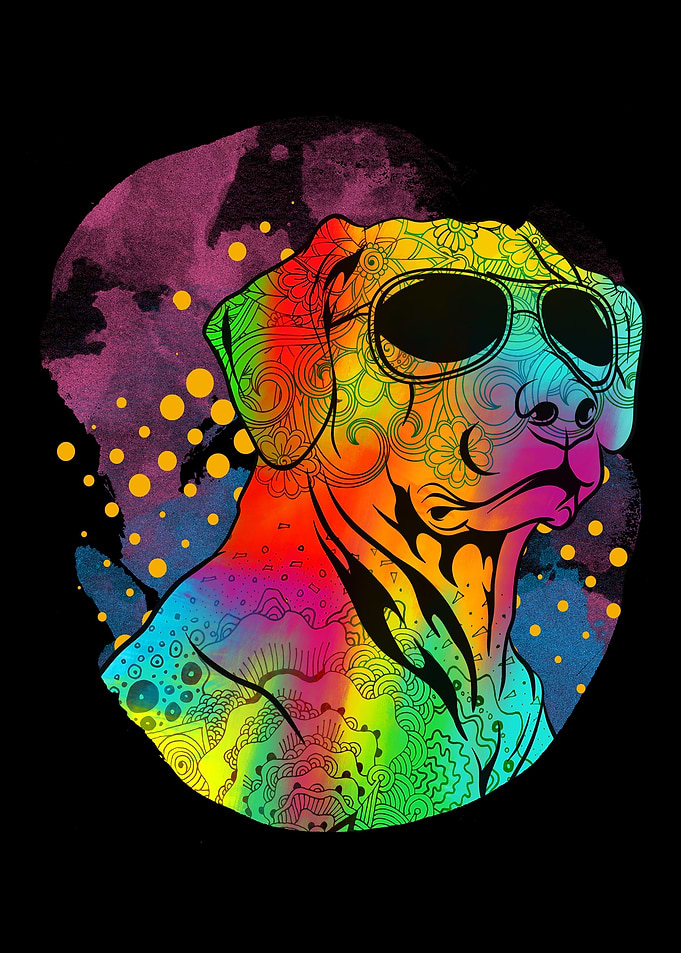 Rhodesian Ridgeback