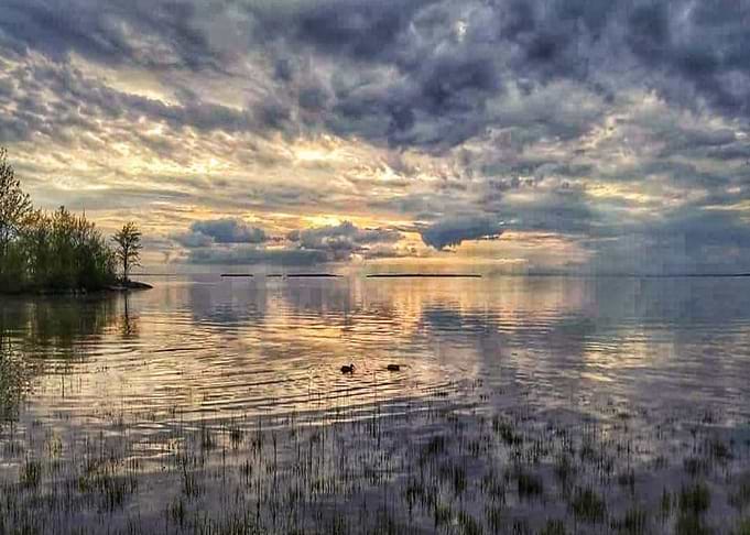 Isles and Fen