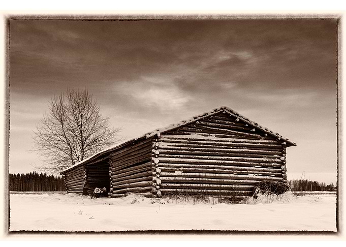 Old Barn On Fields